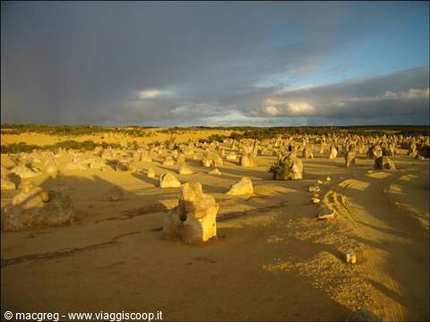 Pinnacles Desert