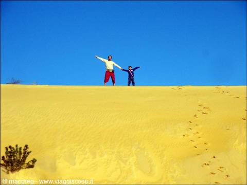 Pinnacles Desert
