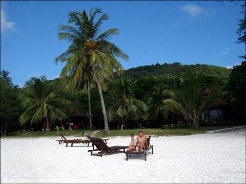 Tourists on wooden loungers under palm trees, white sand beach, blue sky