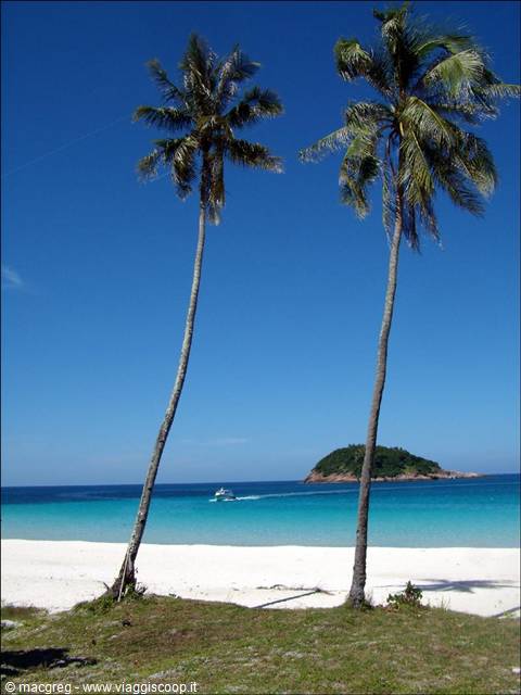 Two tall leaning palms on white sand, turquoise sea, island and passing boat