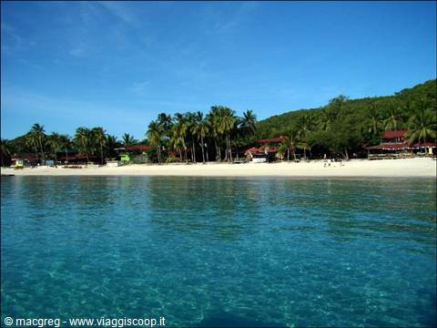 White sand beach with palm trees and turquoise waters under blue sky