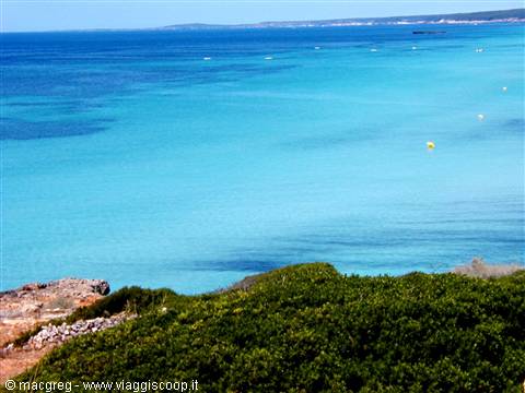Beach of Son Bou