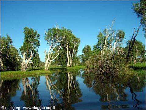 Kakadu NP