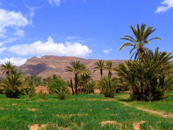 Draa Valley