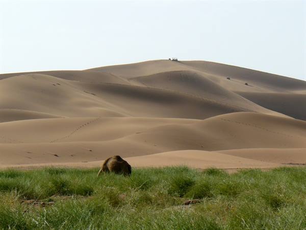 Chegaga dunes