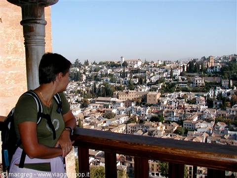Granada seen from the Alhambra