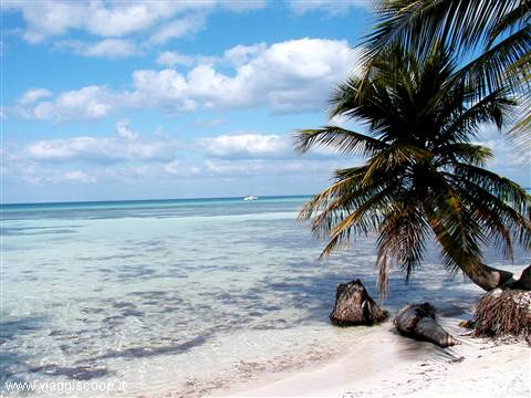 Saona Island