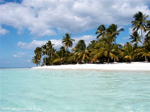 Saona Island