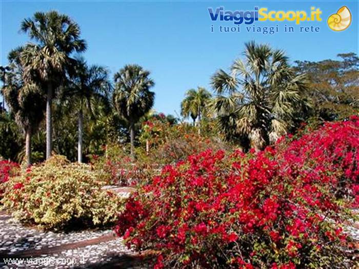Santo Domingo - Botanical Garden