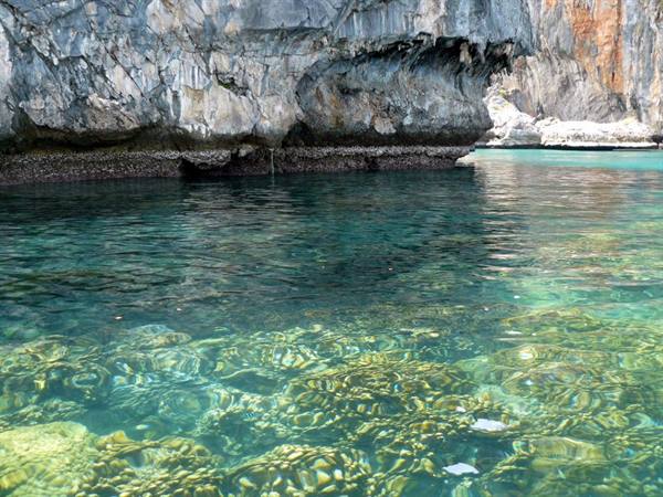 Clear turquoise water over rocky seabed at the base of a limestone cliff