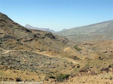 jabal shams