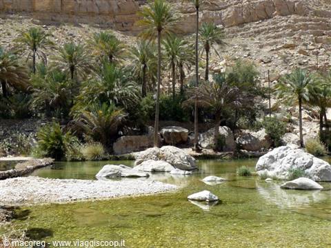 wadi bani khalid