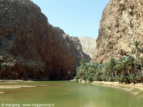 wadi shab