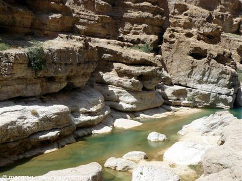 wadi shab