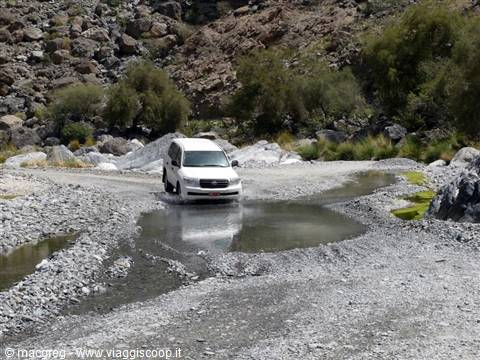 wadi bani awf