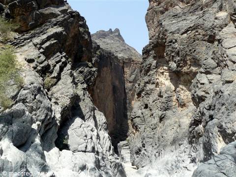 wadi bani awf