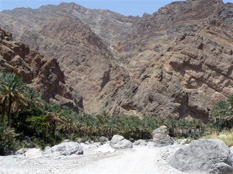 wadi bani awf