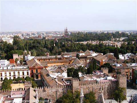View from the Giralda
