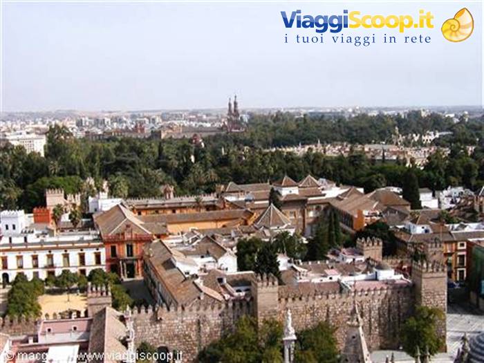 View from the Giralda