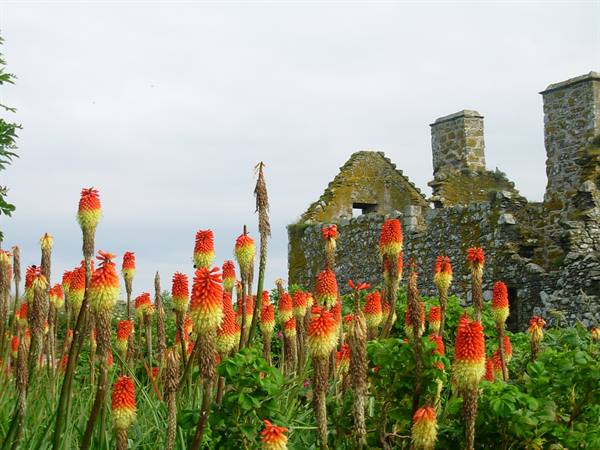 Dunnottar Castle