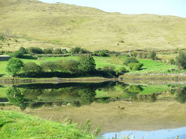 Trees and grassy hills reflected in the calm lake water