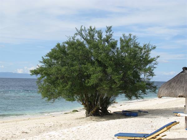 Beach in front of the resort