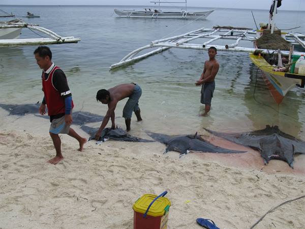 Mante massacre on Pamilacan island