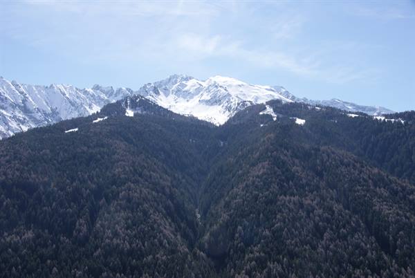 Snow-capped peaks above dark conifer forests under a blue sky