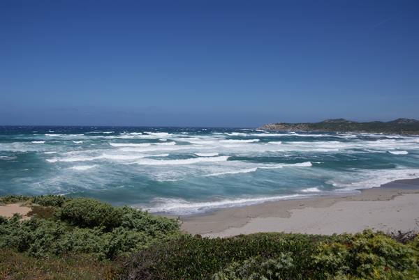 Sandy beach with wind-whipped turquoise sea and green coastal shrubs