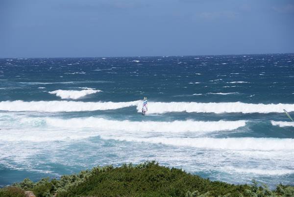 Windsurfer riding foamy waves in the open sea, green bushes in foreground
