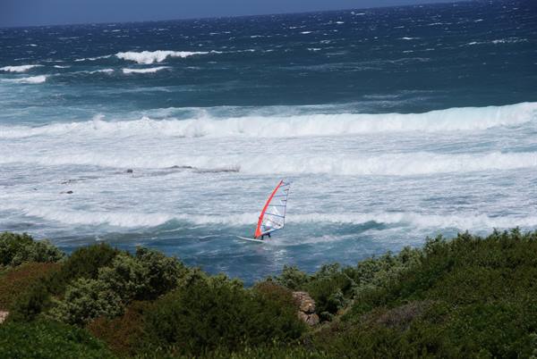 Windsurfer with red sail among waves, green bushes in the foreground