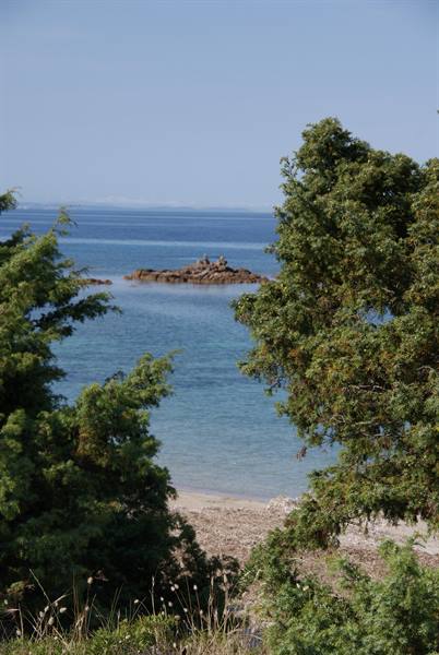 Turquoise sea with rocky islet, sandy beach framed by green trees
