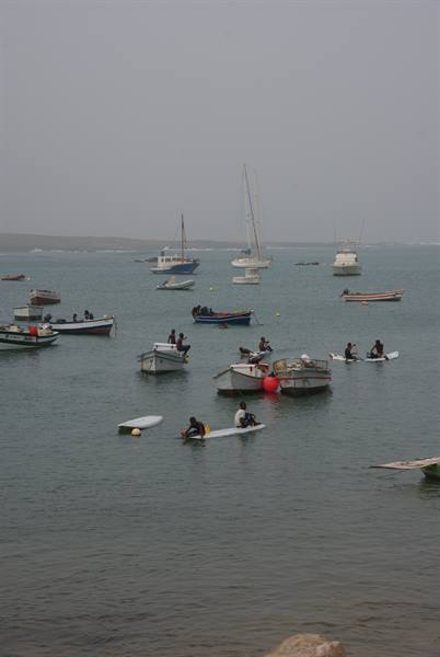 The harbour