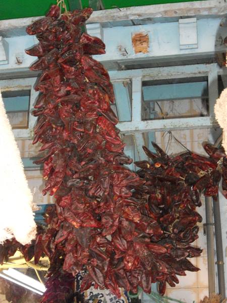 Bundle of dried red chili peppers hanging at market under blue beam
