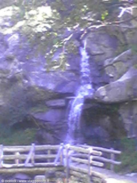 wandering along trails