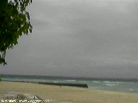 it's raining this morning too