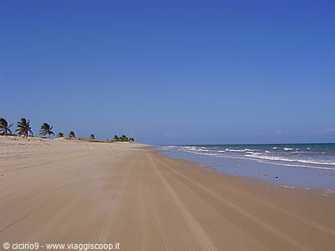here you race in a buggy..... but watch out for the waves