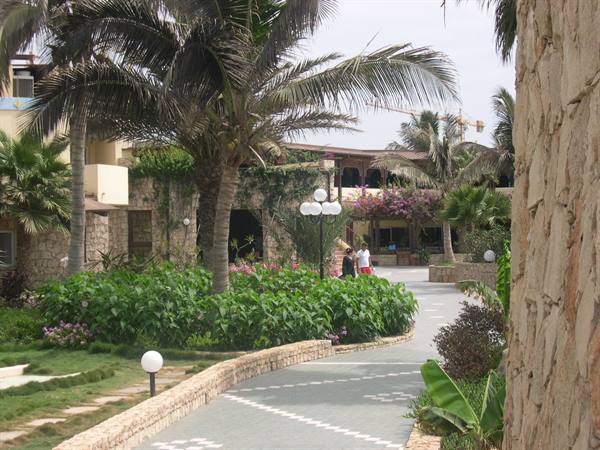 the village