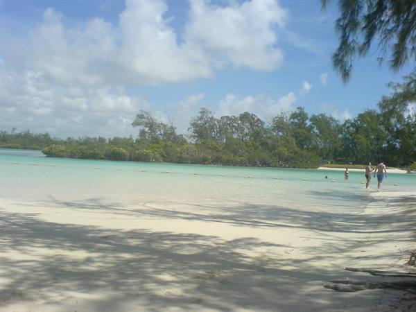 the island of the deer