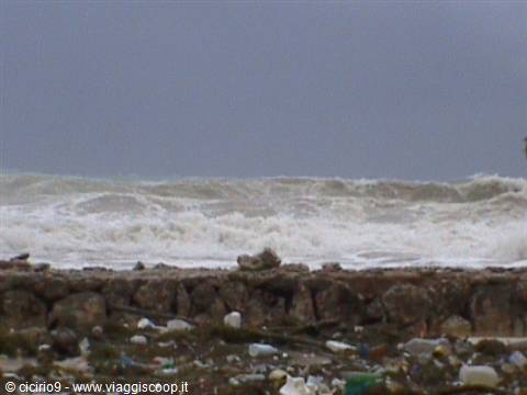tropical storm