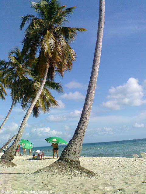 and who would want to go back