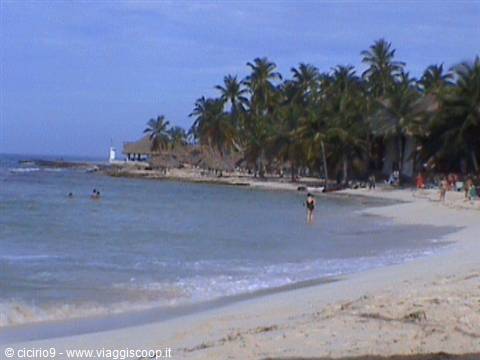 White sand beach with palm trees and people swimming