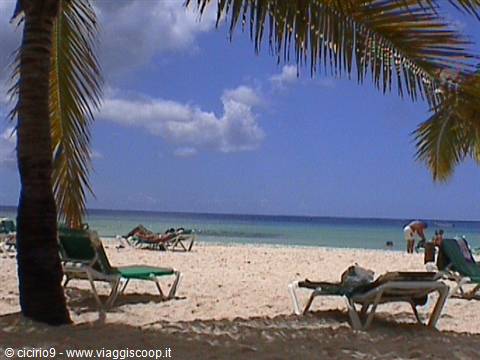 Green sun loungers on sand beneath palm trees, tourists by the turquoise sea