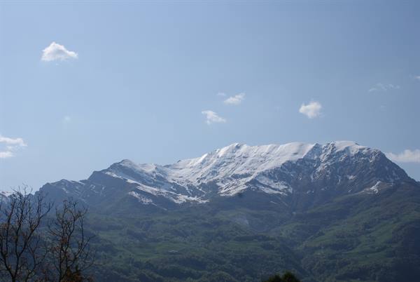 Snow-capped mountain above green slopes, bare branches in the foreground