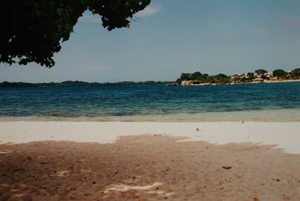 White sand beach with turquoise water and green coastline in daylight