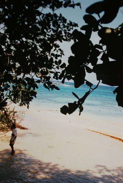 Child on white sand beach under green leaves, turquoise sea in sunlight