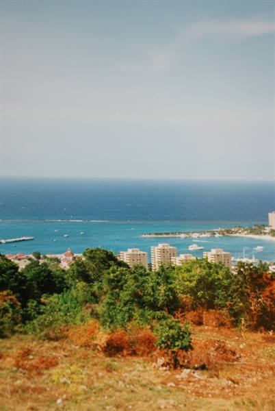 Turquoise bay with hotels, boats and pier seen through green trees