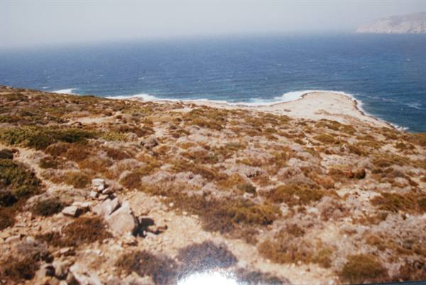 Arid coast with shrubs and rocks sloping down to the sea