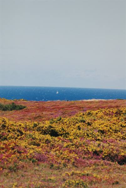 Cote d'Emeraude