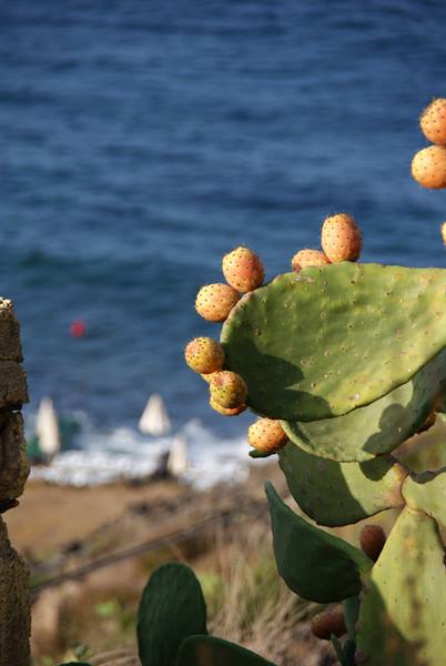 Pantelleria landscapes